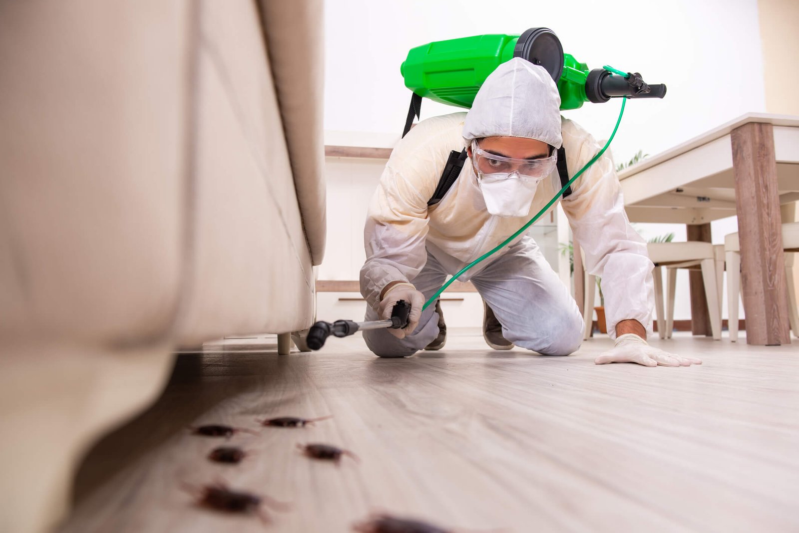 Pest Tech technician spraying for cockroaches under a sofa in a Karachi home